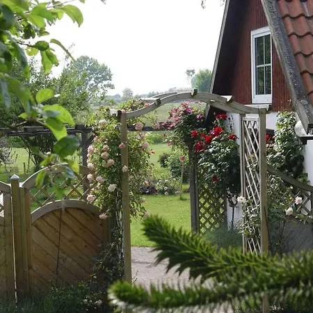 Jens 4